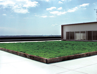 屋上に設けられた緑化スペース
