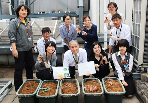 「銀座ミツバチプロジェクト」山櫻本社ビル屋上で「芋ほり」開催