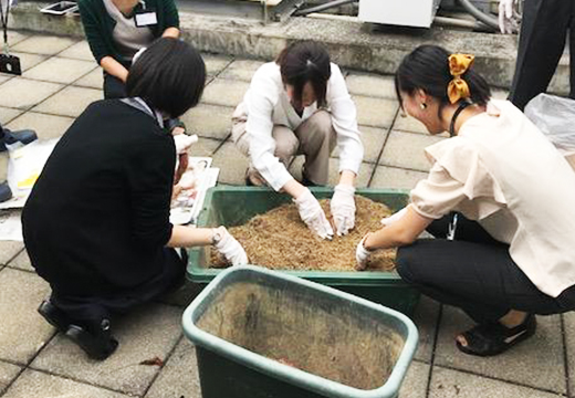 山櫻本社ビル屋上で銀座ミツバチプロジェクト「秋の芋ほり会」開催