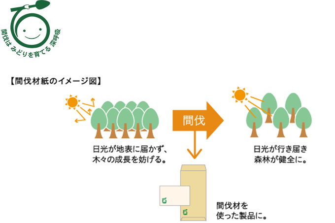 間伐材紙・国産材紙