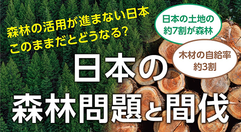 〜日本の森林問題と間伐〜