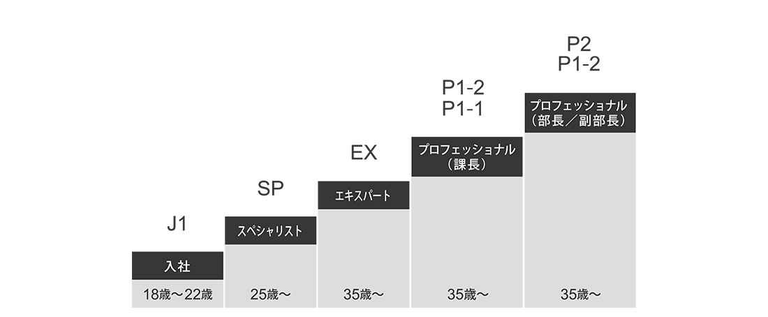 スペシャリストを目指すキャリアプラン